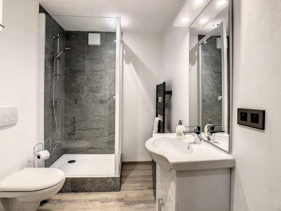 Mont Alt, F2 40M2 En Rdc, Calme, Vue Mt Blanc Apartment Passy  Ngoại thất bức ảnh